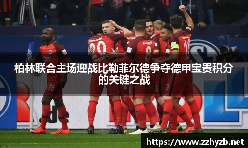 BB贝博登录入口