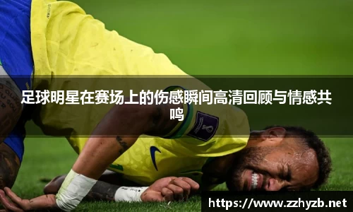 BB贝博登录入口